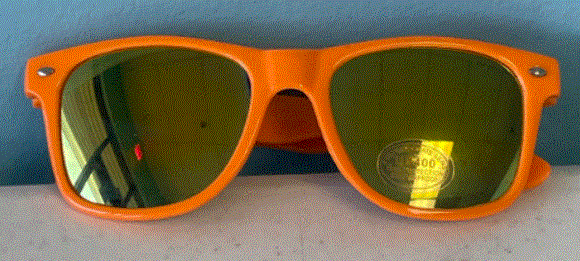 FS196 Orange Adult Sunglasses