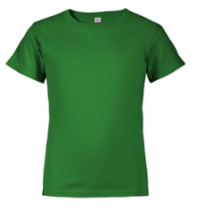 FS125 Green T Shirt Adult SIZE XL