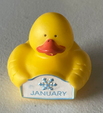 FS489 January Rubber Duck