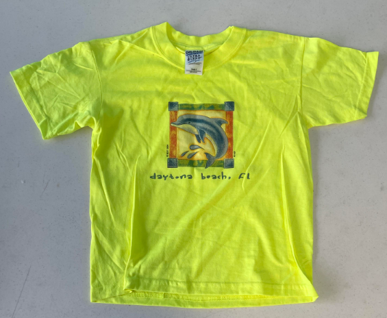FS271 Dolphin Daytona Beach Kids Shirt SIZE Small