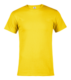 FS479 Yellow T Shirt Adult SIZE Large