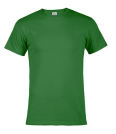 FS477 Green Shirt Adult SIZE Large