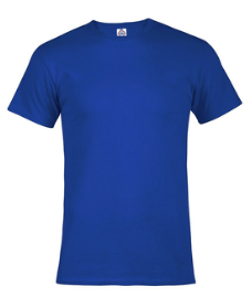 FS304 Blue Shirt Adult SIZE Large