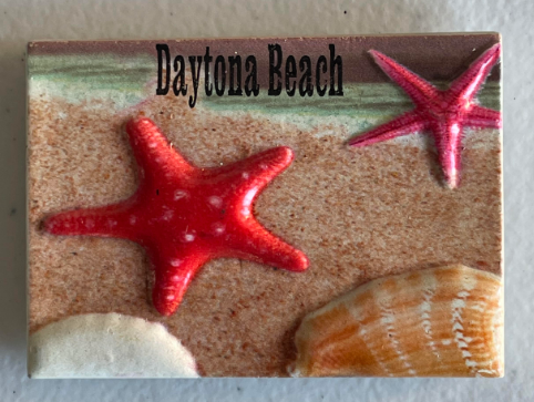 FS902 Daytona Beach Florida Magnet